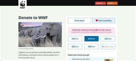 wwf charity lottery|Make a Donation to WWF Today .